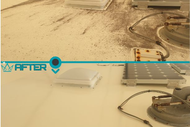 Car Detailer